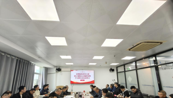 市數據集團黨支部召開樹立和踐行正確政績觀學習教育動員部署會